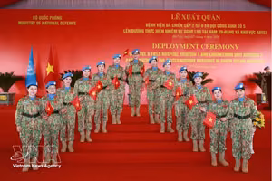 八号二级野战医院和五号工兵队出征仪式。图自越通社