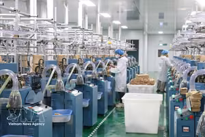 西宁省外商直接投资（FDI）企业的生产活动有助于提升工业产能、促进出口、创造就业机会，并提升该地方在区域供应链中的地位。图自越通社