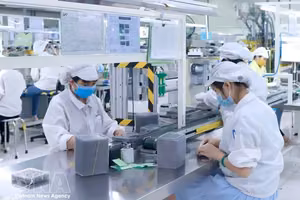 附图。图自越通社