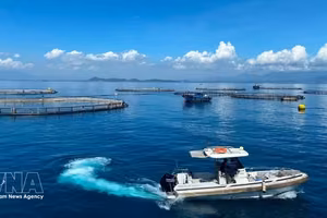 第20号《决议》开辟新的发展空间。图自越通社