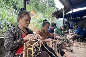 水葫芦编织业帮助改善乂安安那山区民众生活。图自越通社