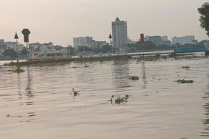  西贡河流域潮水上涨。 图：明海