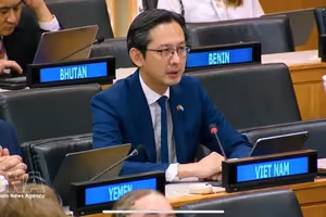 越南常驻联合国代表团团长杜雄越大使。图自越通社