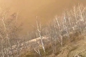 韦恩赖特军事基地发生火灾。图：加拿大广播公司（CBC）