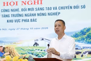山罗省人委会副主席阮成功表示，山罗阿拉比卡咖啡即将登陆美国夏威夷拍卖平台。