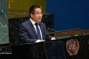 越南常驻联合国代表团副团长阮海刘公使。图自越通社