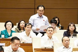 第十六届国会第二次会议：农业与环境部长就防灾减灾和生物技术发展作说明报告。图自越通社