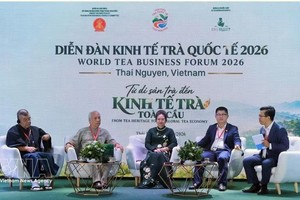 2026年国际差经济论坛在太原省举行。图自越通社