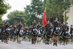 Những chiến binh trên lưng ngựa