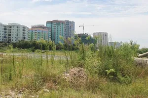 Thủ tướng yêu cầu nghiên cứu đề xuất của GS Đặng Hùng Võ về phạt nặng các dự án “treo”  ​