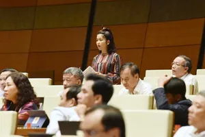 ĐBQH đề nghị Bộ trưởng trả lời có hay không ủng hộ thủy điện nhỏ  ​