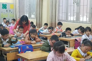 Chính thức bỏ chứng chỉ tin học, ngoại ngữ cho giáo viên từ tháng 3-2021. ẢNH: PHAN THẢO