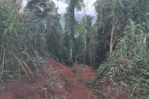 Thủ tướng yêu cầu khắc phục hậu quả vụ tai nạn giao thông đặc biệt nghiêm trọng tại Gia Lai