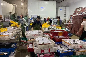  Khi giá xăng dầu tăng cao, ngư dân đánh bắt thủy, hải sản đã bị tác động lớn  