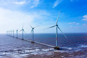 Chính phủ chỉ đạo gỡ vướng cho các dự án điện gió, điện mặt trời chuyển tiếp