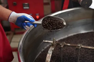 Cà phê Mường Ảng - Điện Biên nỗ lực tìm chỗ đứng