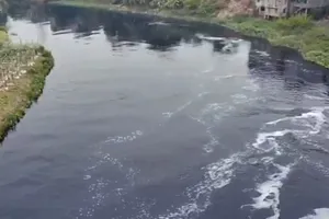 Thủ tướng yêu cầu cấp bách tăng cường kiểm soát và xử lý ô nhiễm môi trường nước một số lưu vực sông