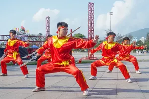 Trình UNESCO đưa “Võ cổ truyền Bình Định” vào danh sách Di sản văn hóa phi vật thể của nhân loại