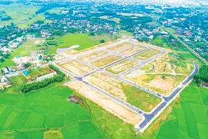 Chính phủ giảm 30% tiền thuê đất năm 2024