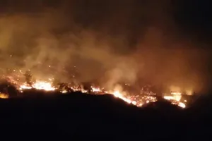 Cháy rừng trên địa bàn tỉnh Quảng Ninh