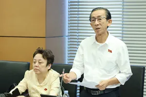 ĐB Trần Hoàng Ngân (TPHCM). Ảnh: QUANG PHÚC