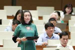 Đại biểu Quốc hội thảo luận ngày 29-5. Ảnh: VIẾT CHUNG