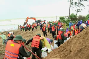 Lực lượng vũ trang và nhân dân cùng gia cố bờ biển ở xã Đan Hải, Hà Tĩnh