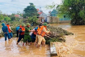 Chính phủ ban hành nghị quyết khắc phục hậu quả thiên tai sau bão số 11