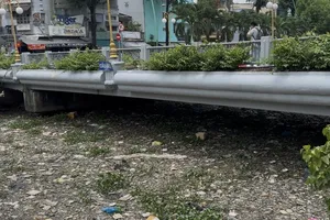 Nguyên nhân cá chết hàng loạt tại kênh Nhiêu Lộc - Thị Nghè