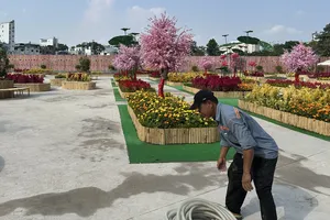 Vườn hoa tại 152 Trần Phú, phường Chợ Quán. Ảnh: THANH HIỀN