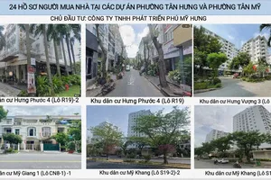 Giải quyết cấp sổ hồng phải đi kèm đảm bảo phát triển đô thị