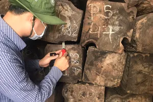 Số gỗ bị cơ quan chức năng kiểm tra, phát hiện