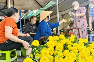 Hoa vạn thọ bán tại chợ Nguyễn Văn Trỗi, quận Phú Nhuận trưa 13-1