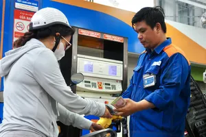 Xăng E10 sẵn sàng bán thí điểm tại các thành phố lớn