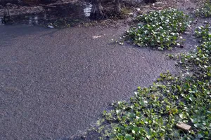 Kiểm tra một công ty về dấu hiệu xả thải gây ô nhiễm kênh rạch