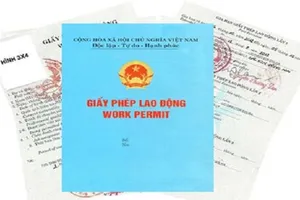 TPHCM tạm dừng cấp phép lao động cho lao động nước ngoài đến từ nơi có dịch Covid-19