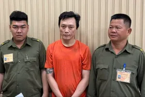 Khởi tố, bắt tạm giam người cầm gậy đập phá xe tải 