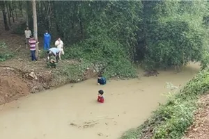 Bình Phước: Một nữ sinh lớp 9 mất tích trên đường đi học về