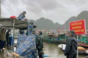 Ban Bí thư yêu cầu không được chủ quan, tăng cường kiểm tra, ứng phó với bão số 3