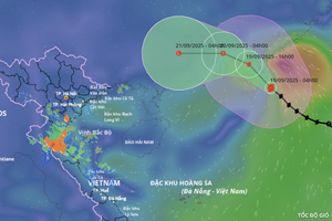 8号台风位置与移动路径预测。