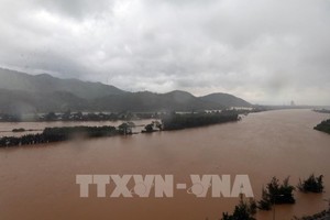 越南中部地区逾4870公顷水稻及农作物受损。