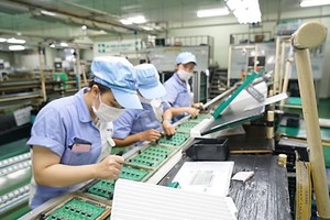 民营经济——推动经济增长与创新的主力军。