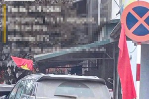 高平省一辆蓝牌公务车停在禁停标志旁。