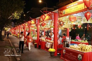 胡志明市：丙午年春节“岸上船下”迎春花市正式开幕。