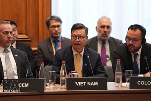 越南驻法国大使郑德海在会上发表讲话。图自越通社