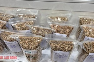 咖啡价格走势仍难预测。