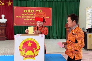 北宁省瑶族同胞进行投票。