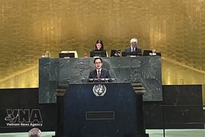 越南呼吁停止交战、维护航行安全并促进对话。