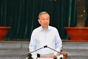 党中央总书记、国家主席苏林主持与胡志明市市委常务处的工作会议。