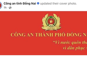 确保发送至同奈市公安脸书专页的信息得到处理并严格保密